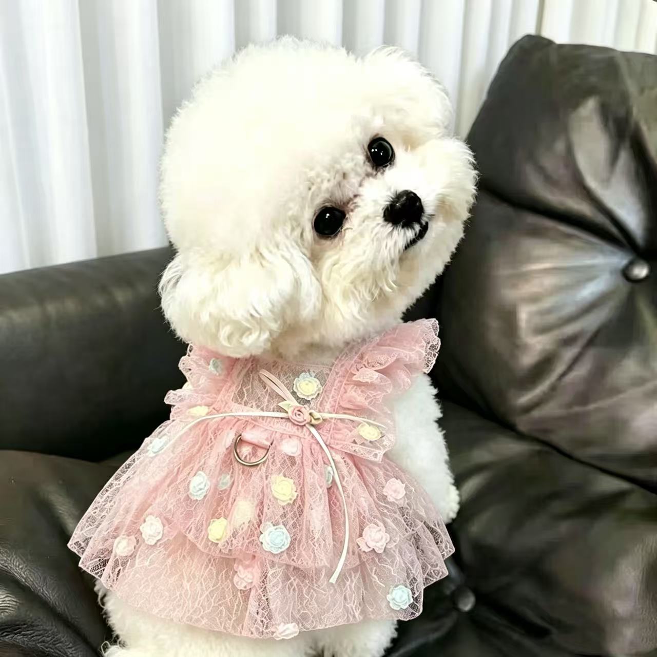 Pet Spring & Summer Chiffon Pr - Summer Rose Clothing recension och pris